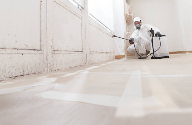 24/7 Emergency Black Mold Remediation experts in Fountain, NC