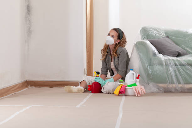 Reliable Black Mold Remediation contractor in Fountain, NC by 24 Hour Mold Removal